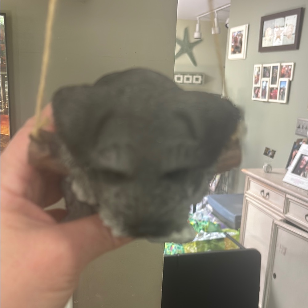 Miniature Schnauzer Ceramic Hanging Decor - Picture 6 of 9
